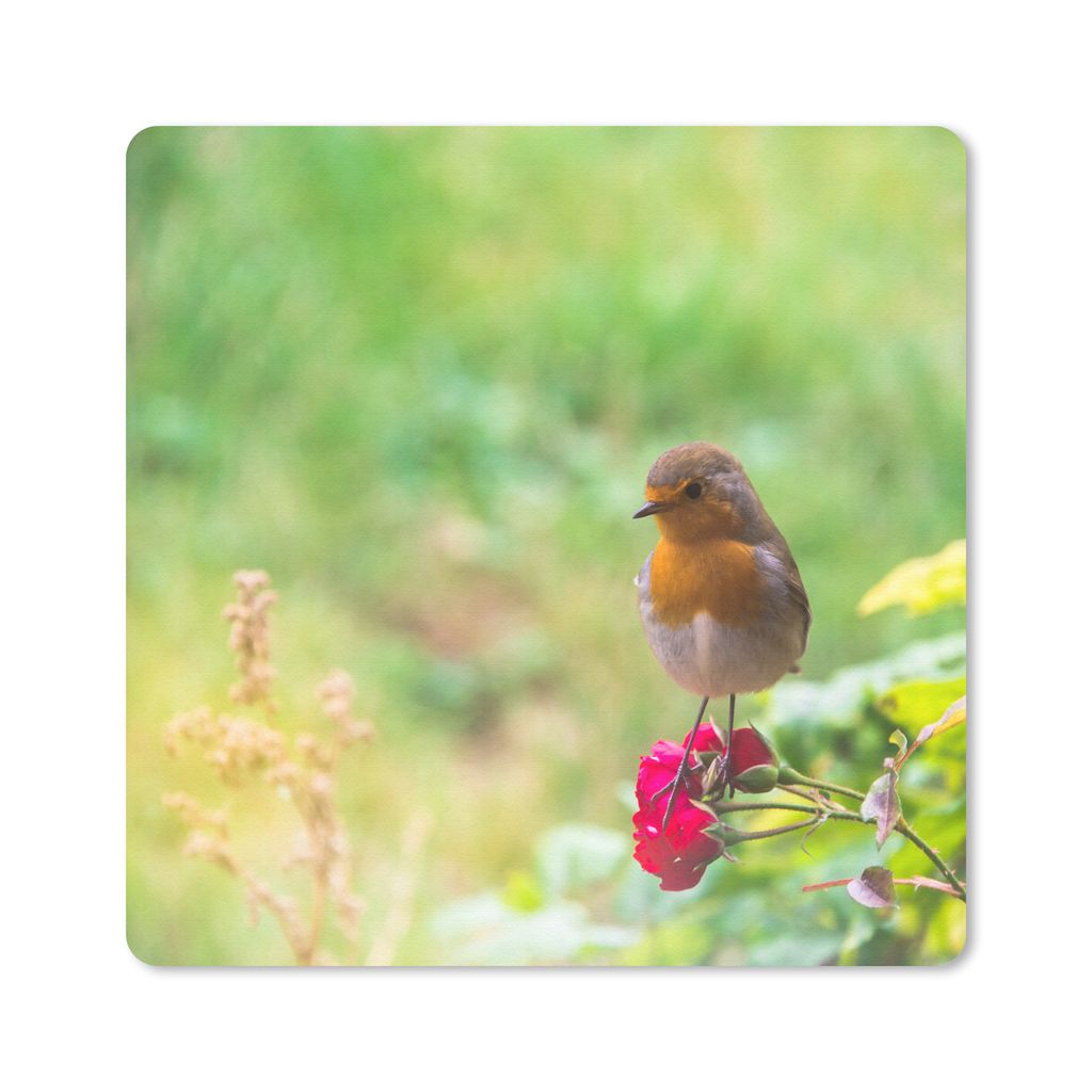 MuchoWow Mauspad Mousepad Rotkehlchen - Rose - Rot 30x30 cm - Mousepads - Maus Mat - Pad - Mausunterlage - Gaming