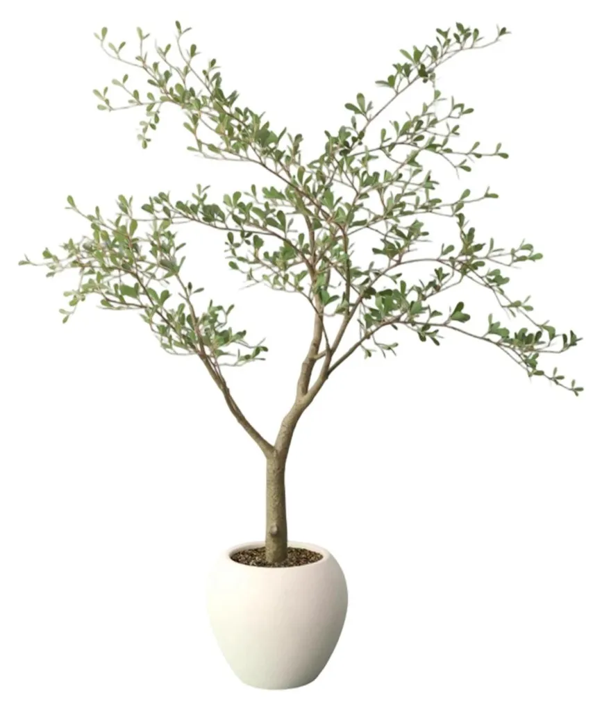 Plante Artificielle Olivier 150cm - Arbre Décoratif Réaliste pour Salon et Bureau