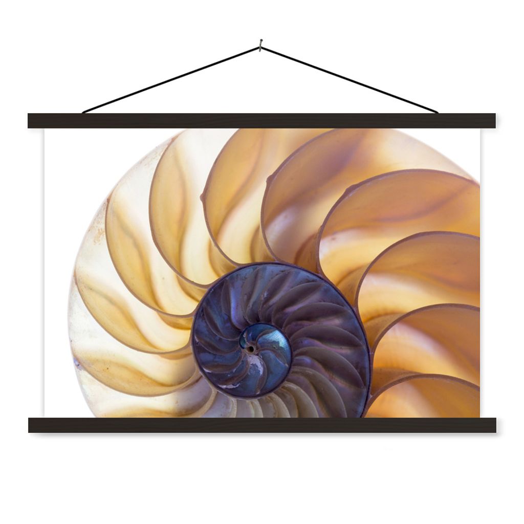 MuchoWow Textilposter Muschel - Blau - Meer 120x80 cm mit schwarzem Rahmen - Wanddeko