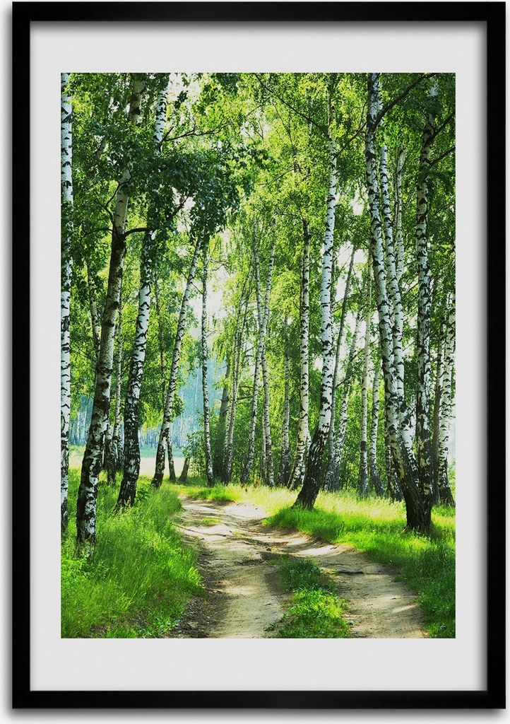 Bild - Bilderrahmen - 50 cm x 70 cm - MDF - Rahmen - Wandkunst Birkenwald