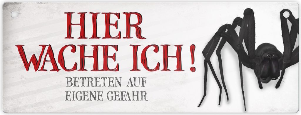 Betreten auf eigene Gefahr - Hier wache ich! Metallschild XL mit Spinne Motiv