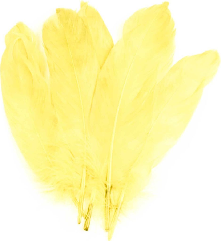 20 Entenfedern 15-21cm Bastelfedern Federn Dekofedern f. Hüte Kostüme Basteln