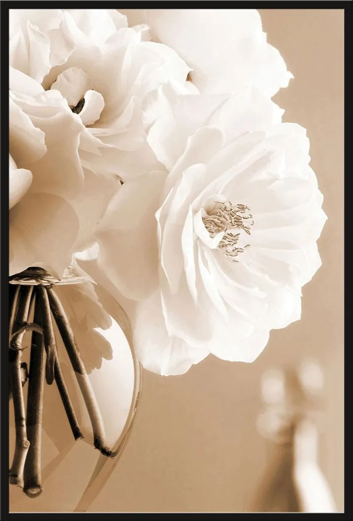 Affiche Roses en sépia Christine Zalewski avec cadre Shinsuke 61x91,5 cm