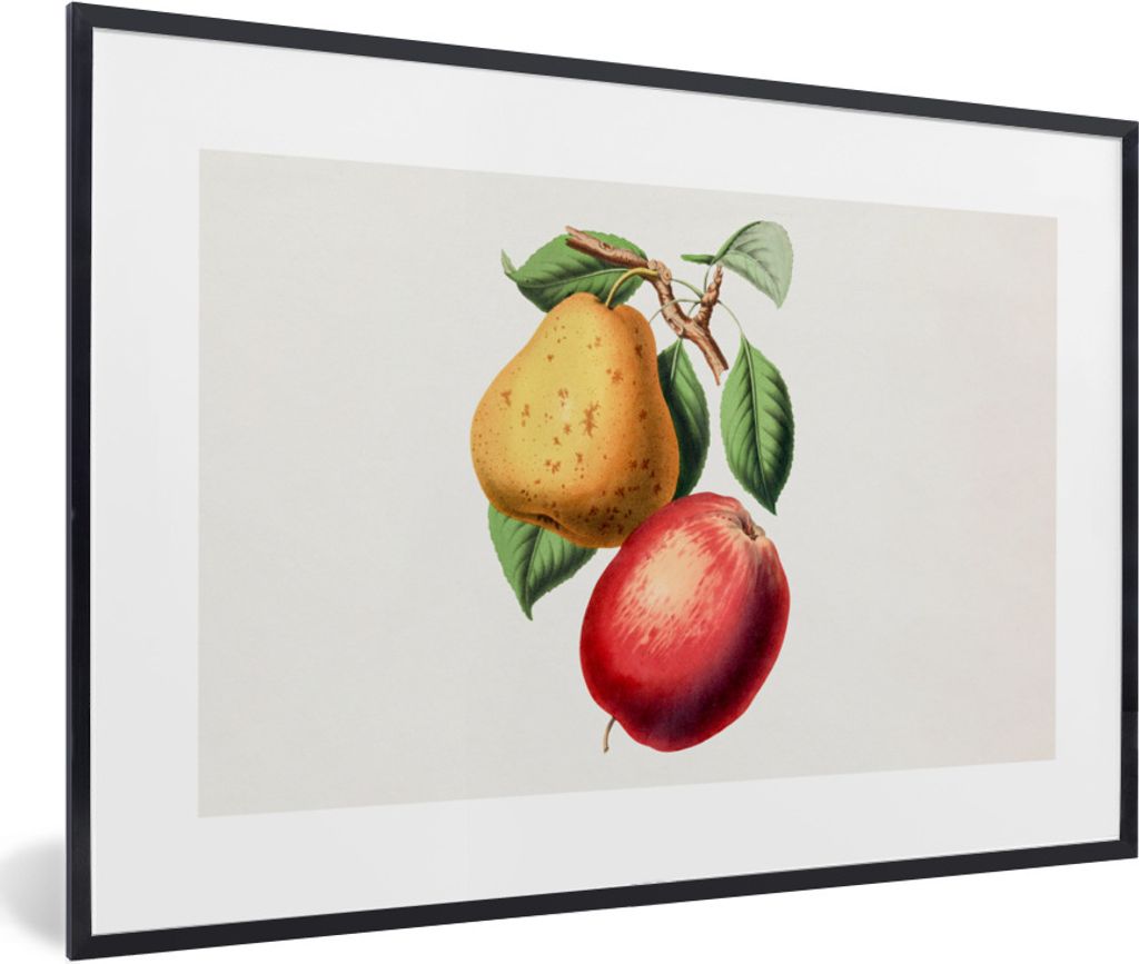 MuchoWow Gerahmtes Poster Birne - Apfel - Obst 60x40 cm - Poster mit Schwarzem Bilderrahmen Wandposter Rahmen Foto Bilder - Printing - Wanddeko S...