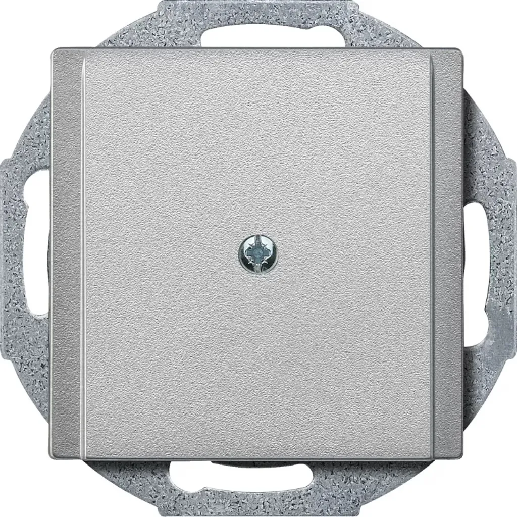 Merten 295660 Plaque murale d'interrupteur en aluminium - Design épuré