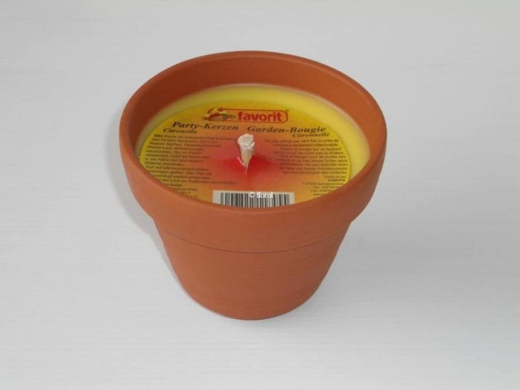 Party-Kerze inTontopf m.Citronella-Wachs Produktbild 