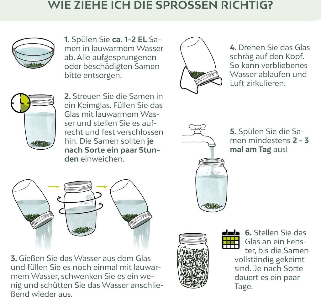 Sprossenglas-Set – 2 Stück, Mit Edelstahldeckel, Für Microgreens & Keimlinge (ohne Samen)