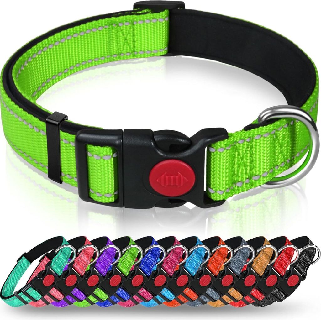 Hundehalsband, Weich Gepolstertes Neopren Nylon Hunde Halsband für Mittlere Hunde, Verstellbare und Reflektierend für das Training, Grün, M