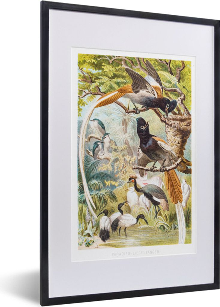 MuchoWow MuchoWow Gerahmtes Poster Antike Vogeldrucke Familie 40x60 cm - Poster mit zchwarzem Bilderrahmen - Poster in Rahmen
