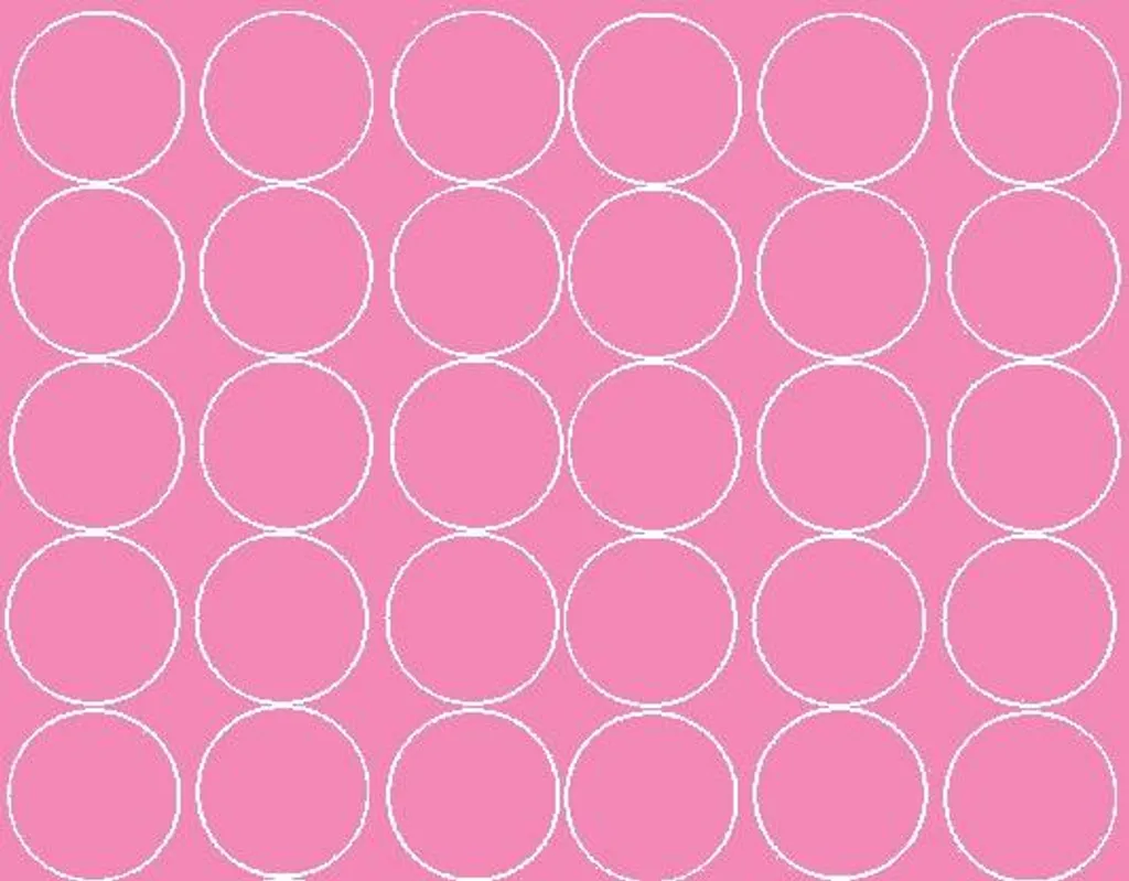 Adesivi Circolari 7cm Rosa Lucido | 30 Etichette Industriali Alta Tenuta
