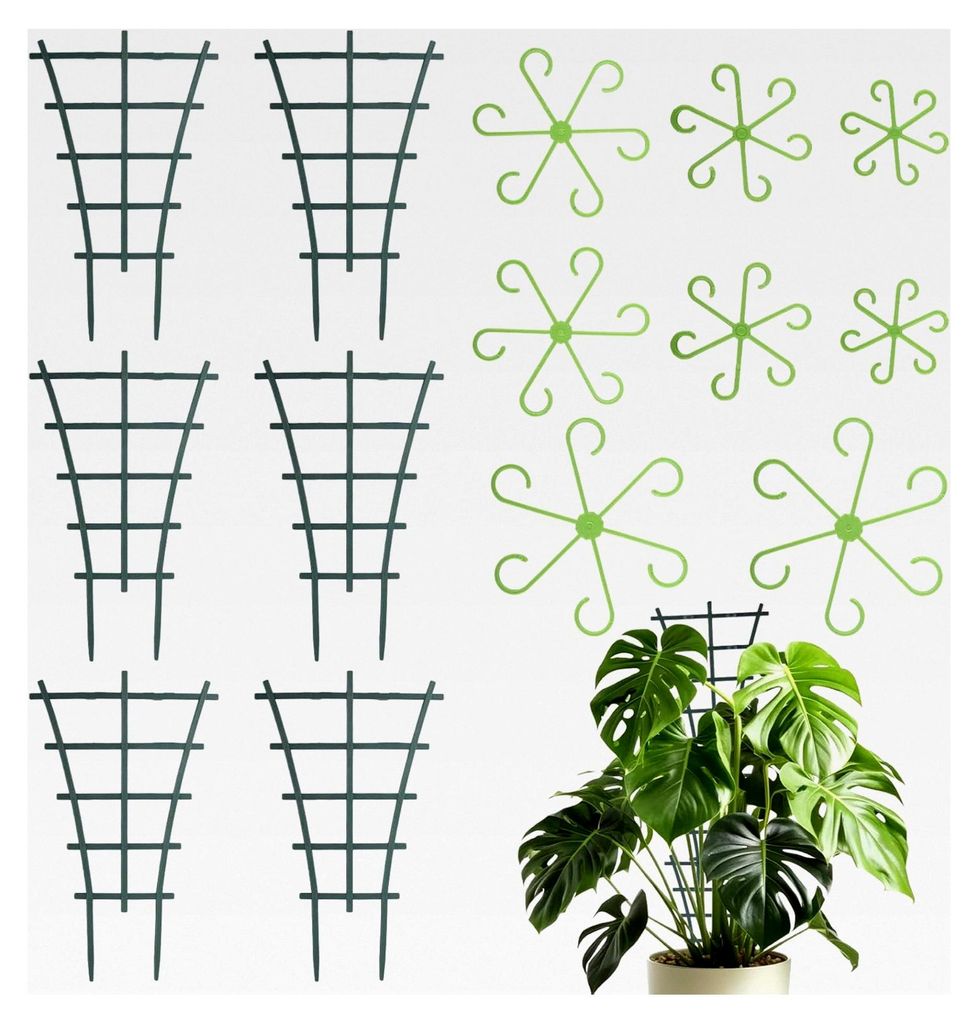 14 Stück Rankhilfe für Zimmerpflanzen und Topfpflanzen