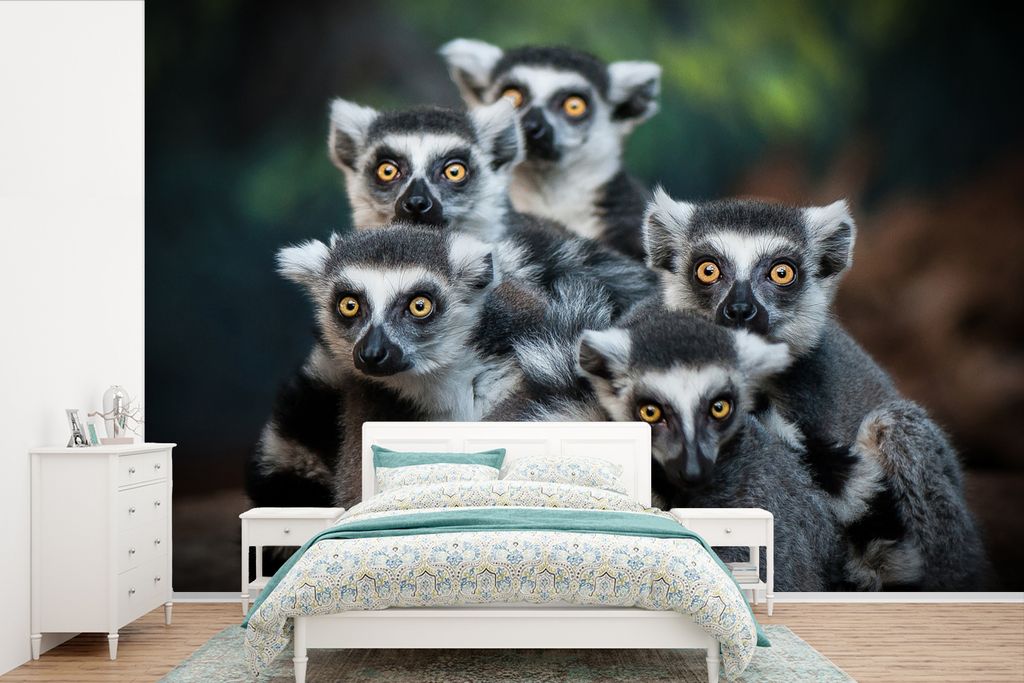 MuchoWow Fototapete für Wohnzimmer oder Schlafzimmer Wandtapete Vinyl Motivtapete Affen - Tiere - Ringelschwanzlemuren - 420x280 cm - Zimmer fü...