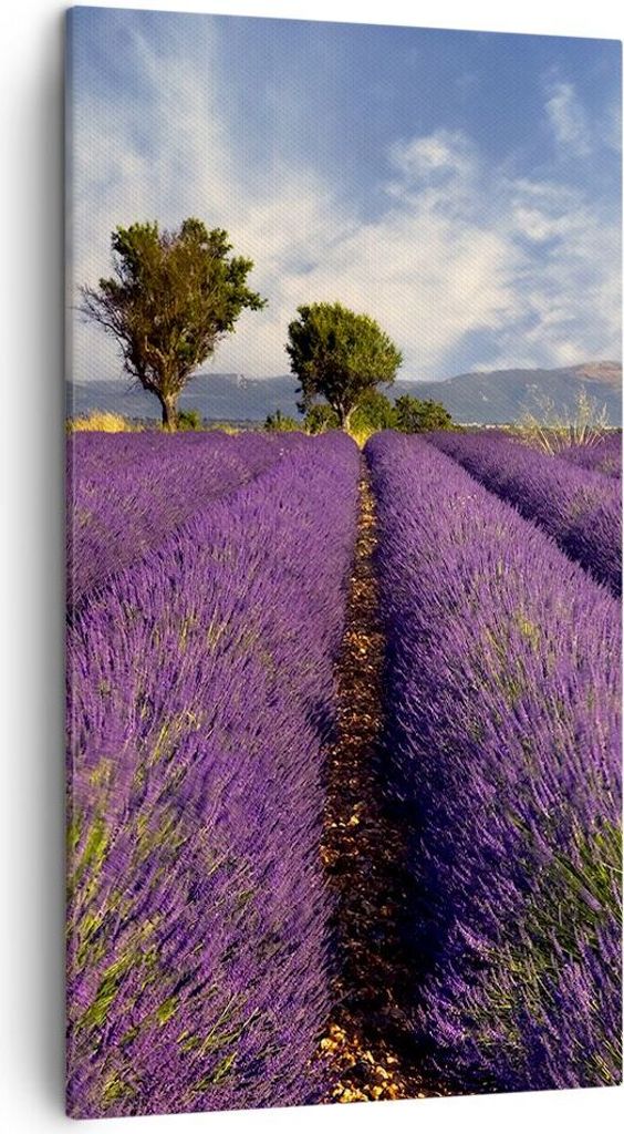 Bild auf Leinwand - Leinwandbild - Landschaft Wiese Pflanzen - 45x80cm - Wand Bild - Wanddeko - Leinwanddruck - Bilder - Kunstdruck - Wanddekoratio...