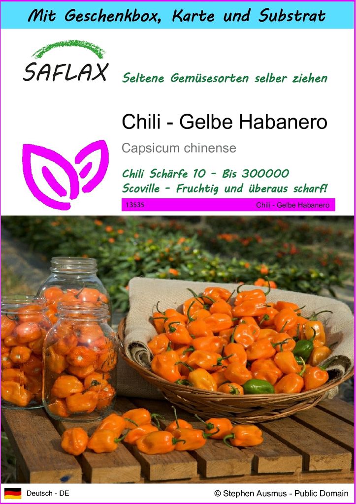 SAFLAX - Geschenk Set - Chili - Gelbe Habanero - 10 Samen - Mit Geschenk- / Versandbox, Versandaufkleber, Geschenkkarte und Anzuchtsubstrat - Capsi...