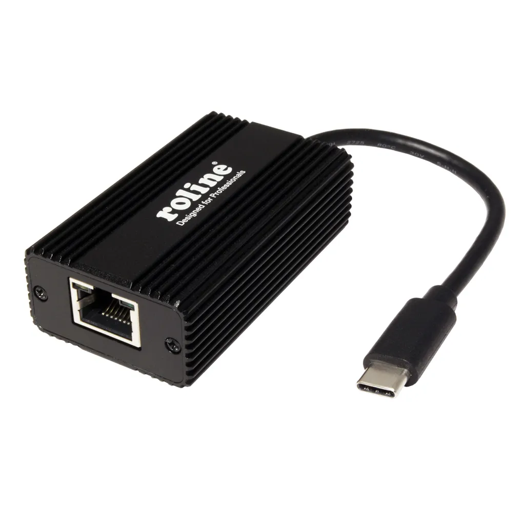 Adaptateur d'interface ROLINE 12.02.1103 pour extension informatique