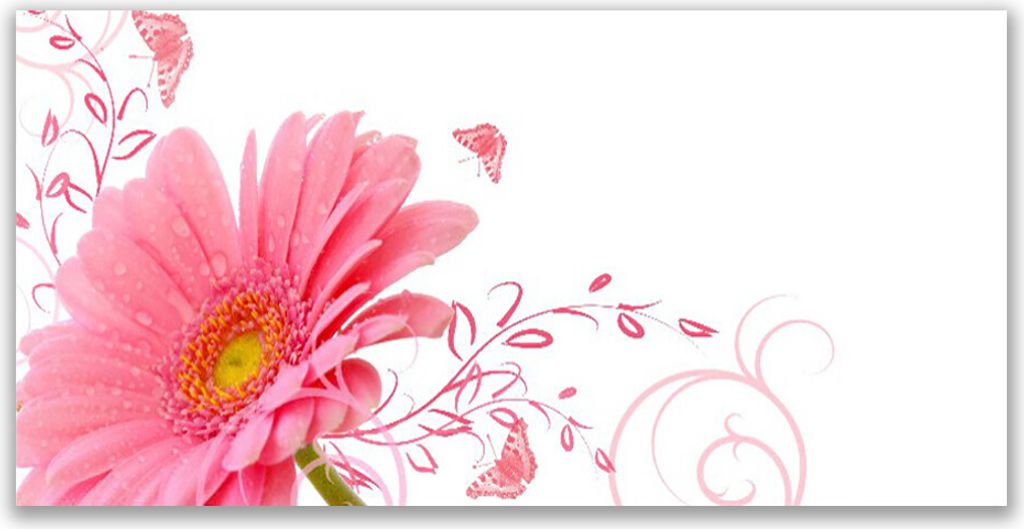 Acrylglasbilder 120x60 Wandbild Druck Blume Pflanzen