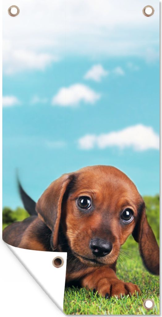 MuchoWow 30x60 cm Outdoor-Poster Gartendeko Sichtschutz Garten Poster für den Garten Schöner Himmel über einem niedlichen Dackelwelpen
