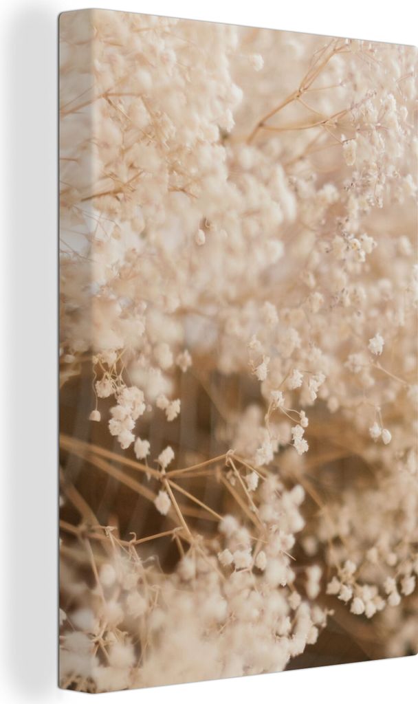 OneMillionCanvasses - Leinwandbilder - 90x140 cm, Pampasgras - Pflanze - Natur, Wandbilder Kunstdruck Wanddekoration - Foto auf Leinwand - Gemäl...
