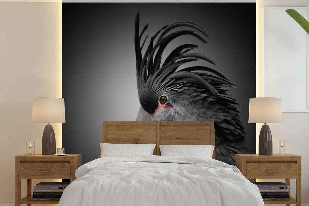 MuchoWow Fototapete für Wohnzimmer oder Schlafzimmer Wandtapete Vinyl Motivtapete Schwarzer Kakadu mit dunklem Hintergrund - 300x300 cm - Wandde...