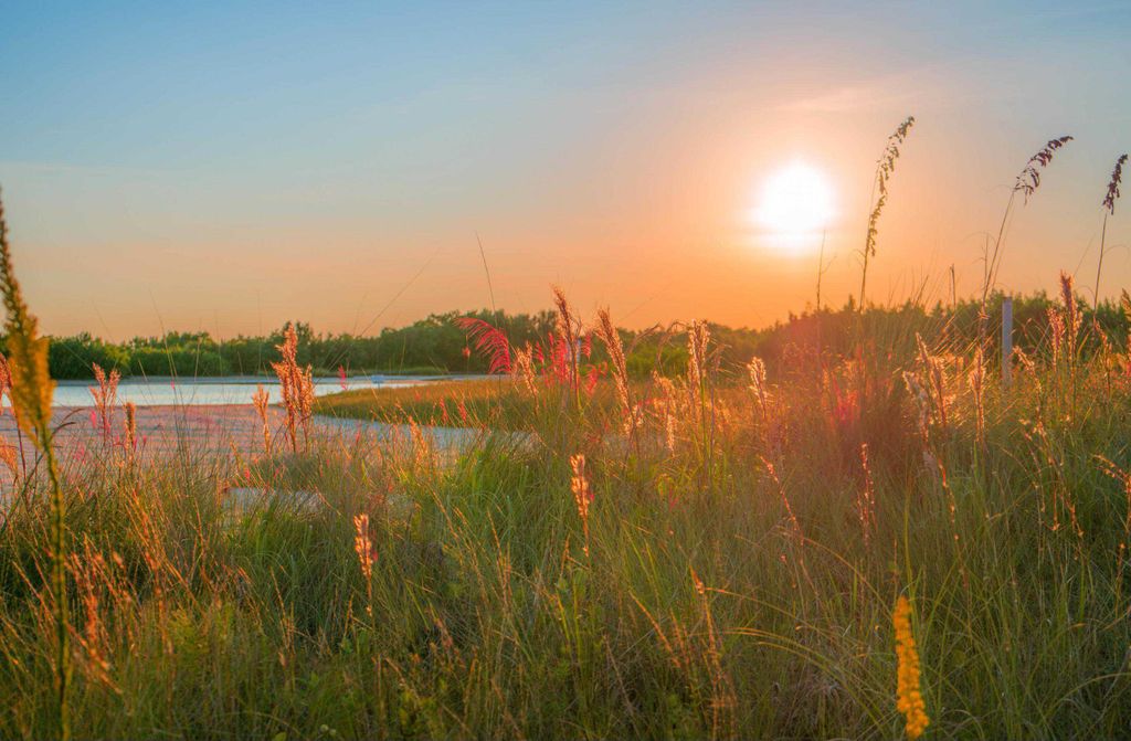 hansepuzzle 20650 - Sommer-Wiese Puzzle, 500 Teile, Natur, 46,0 x 30,0cm mit hochwertiger Aufbewahrung, Kartonbox und wiederverschließbarem Beutel