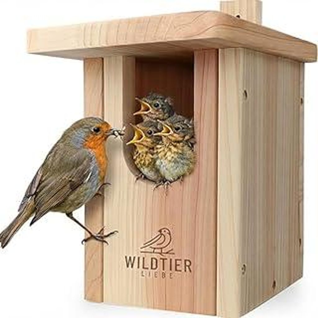 wildtier liebe Vogel Nistkasten Rotkehlchen aus Massiv-Holz, Verschraubt I Nistkästen nach NABU für Vögel, Nistkasten Rotkehlchen, Vogelhaus Bru...
