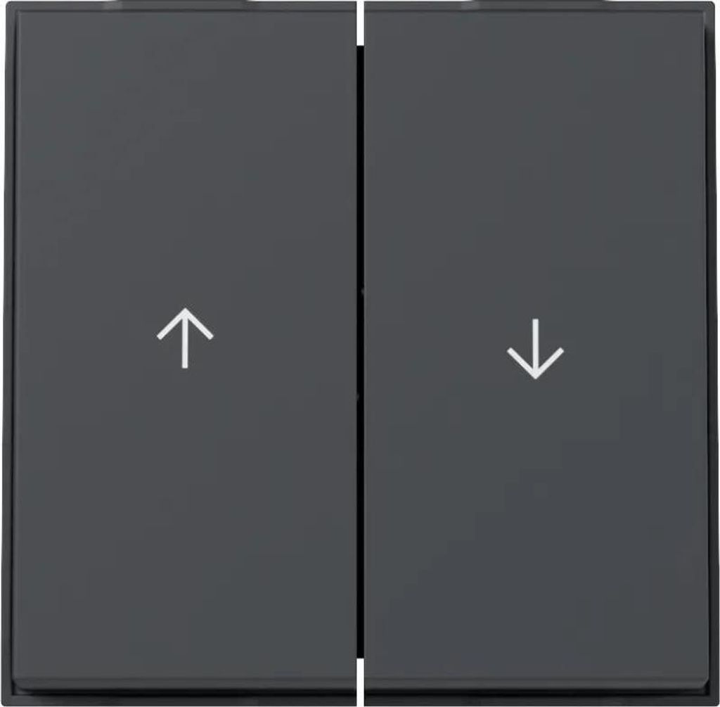GIRA Wippe 329467 2f Pfeil TX44 WG UP anthr (329467)