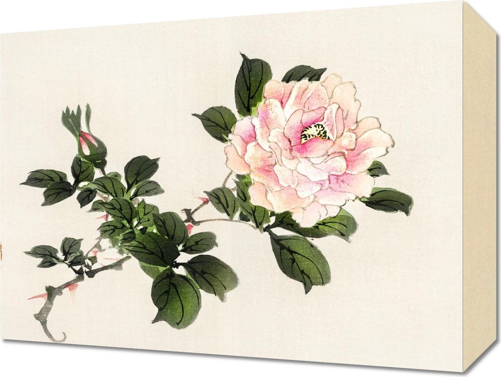 Bild 40x30cm Pink Rose 2, Kōno Bairei Japanisches Vintage für das Wohnzimmer