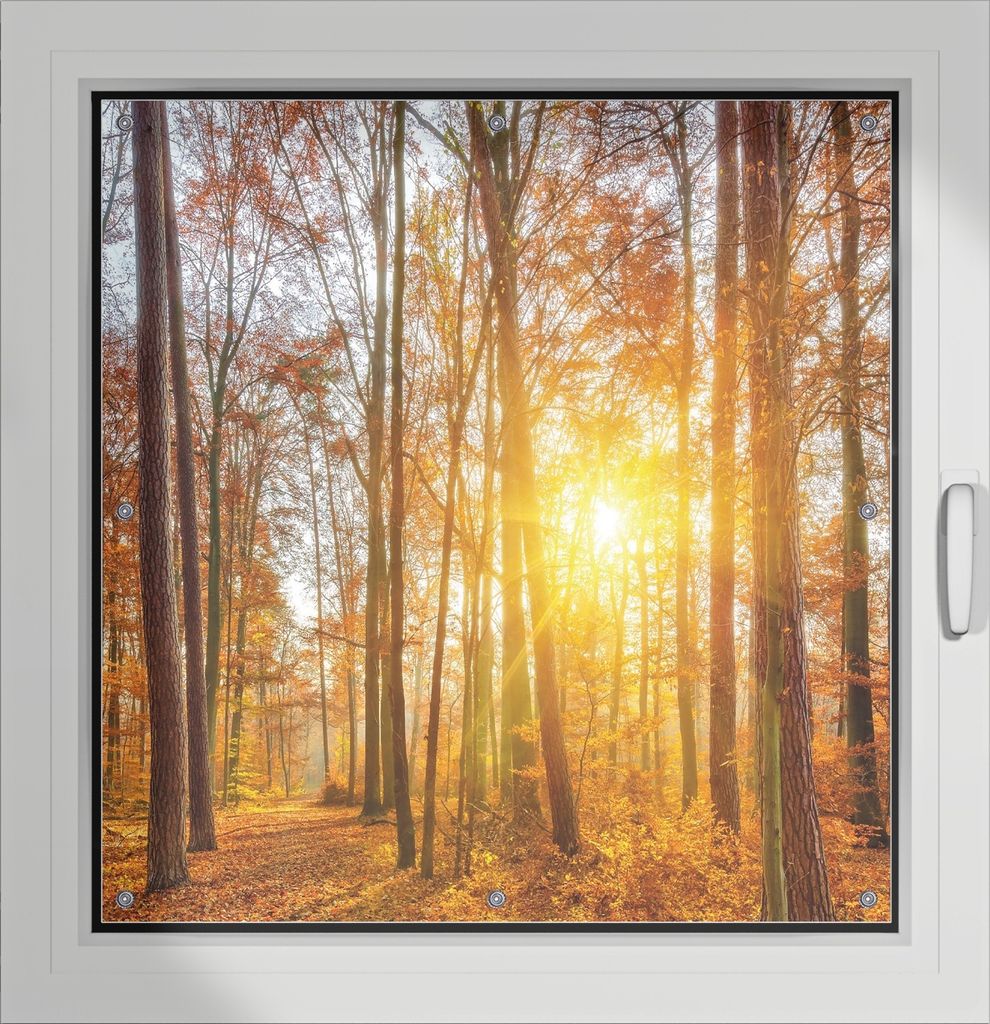 Wallario Lichtschutzbild, Dekorativer Sichtschutz Sonnenschutz 96 x 93 cm mit Motiv: Sonnenuntergang im herbstlichen Wald - Verdunklung ohne Bohren