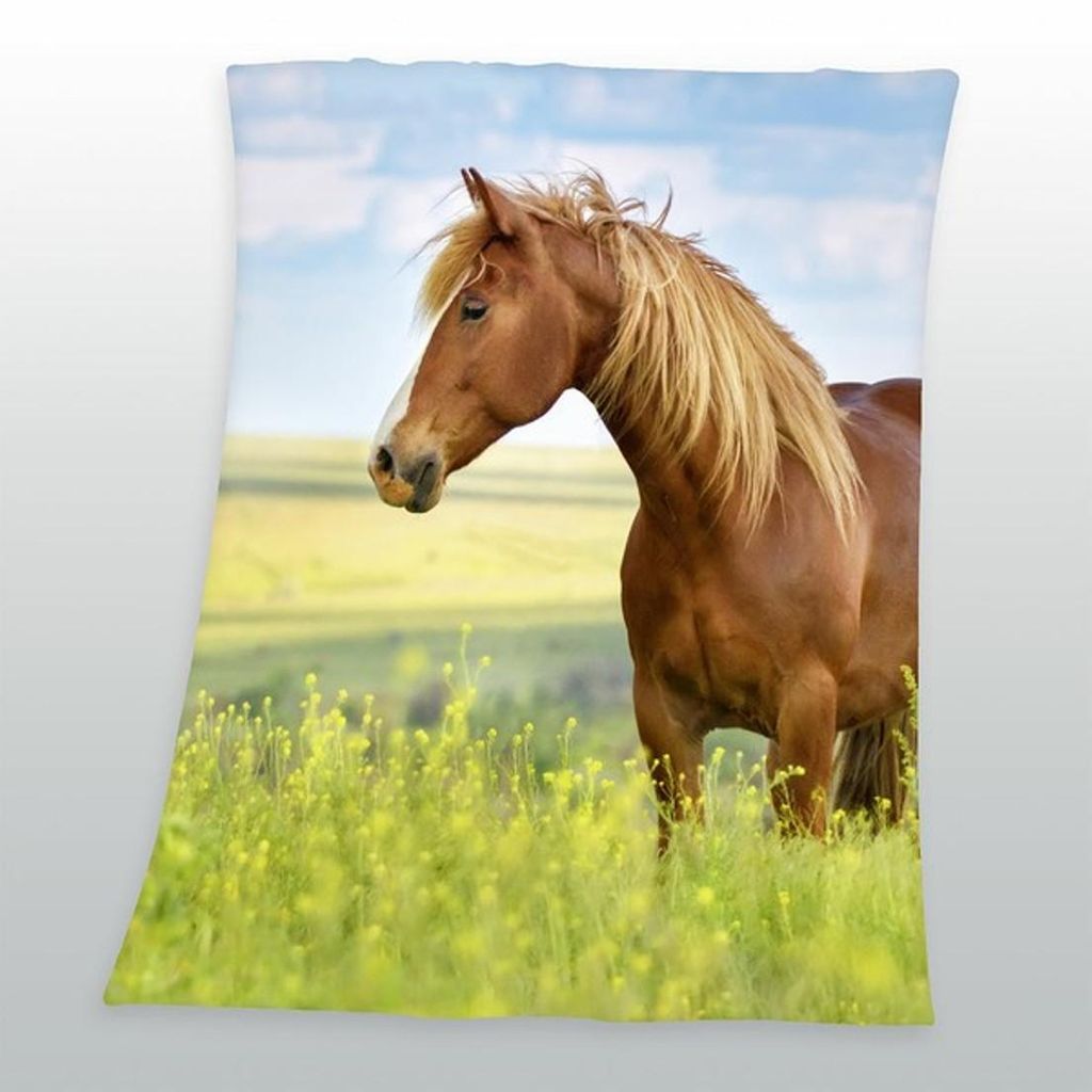 Pferde Fleecedecke Kuscheldecke mit Pferd 130 x 160 cm Produktbild 
