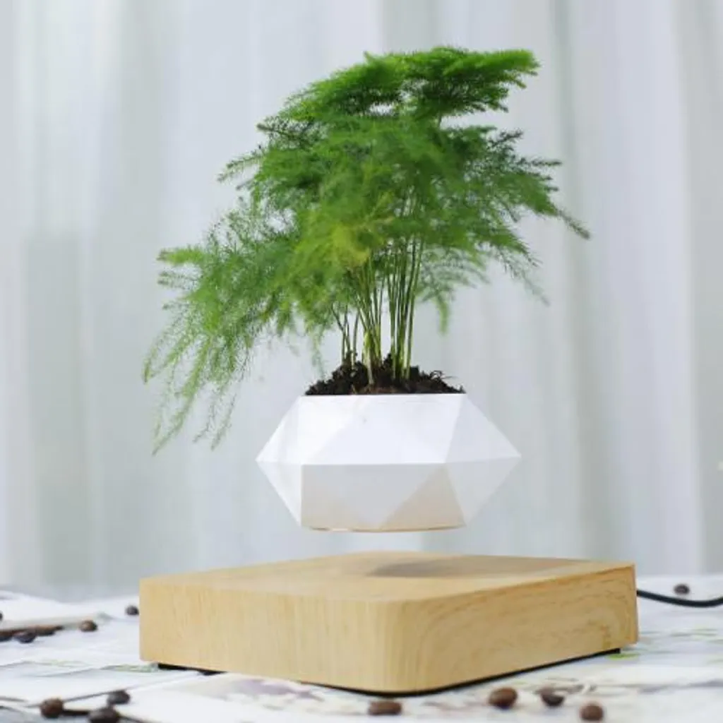 Jardin magnétique HEXAFLY en bois clair - Rotation 360° BABYLONIA