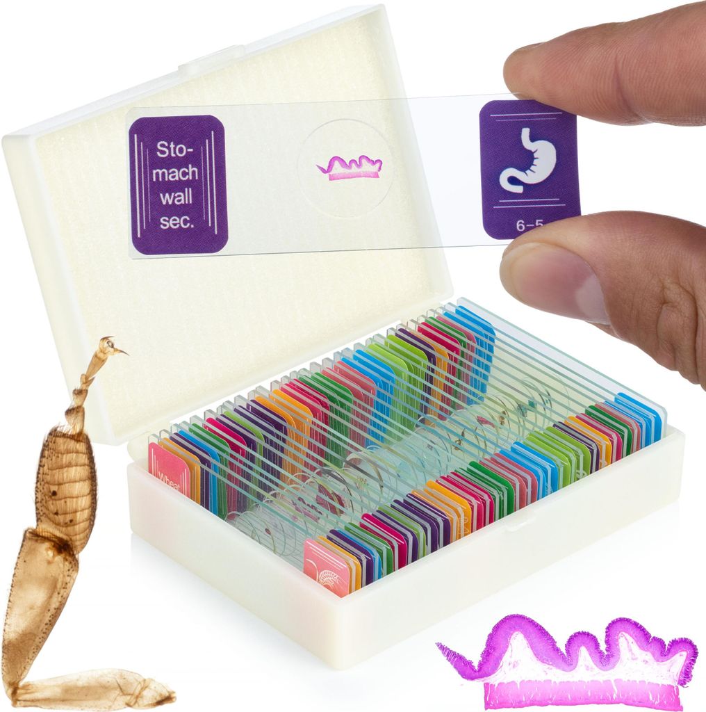 Rosfix Set Lames Microscopiques Préparées 30 Pièces – Verre Image du produit 