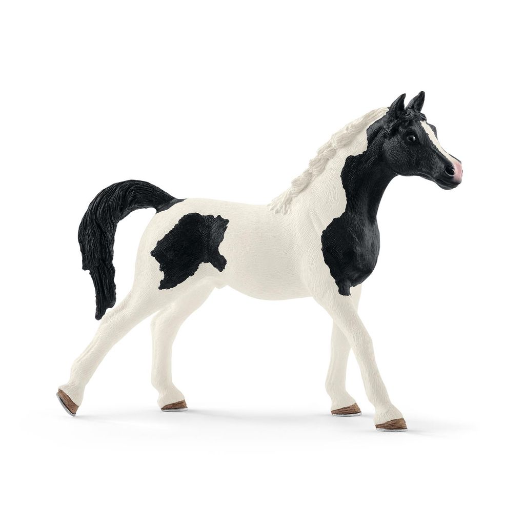 Schleich - Figure di animali, stallone arabo Pinto; 13840 Immagine del prodotto 
