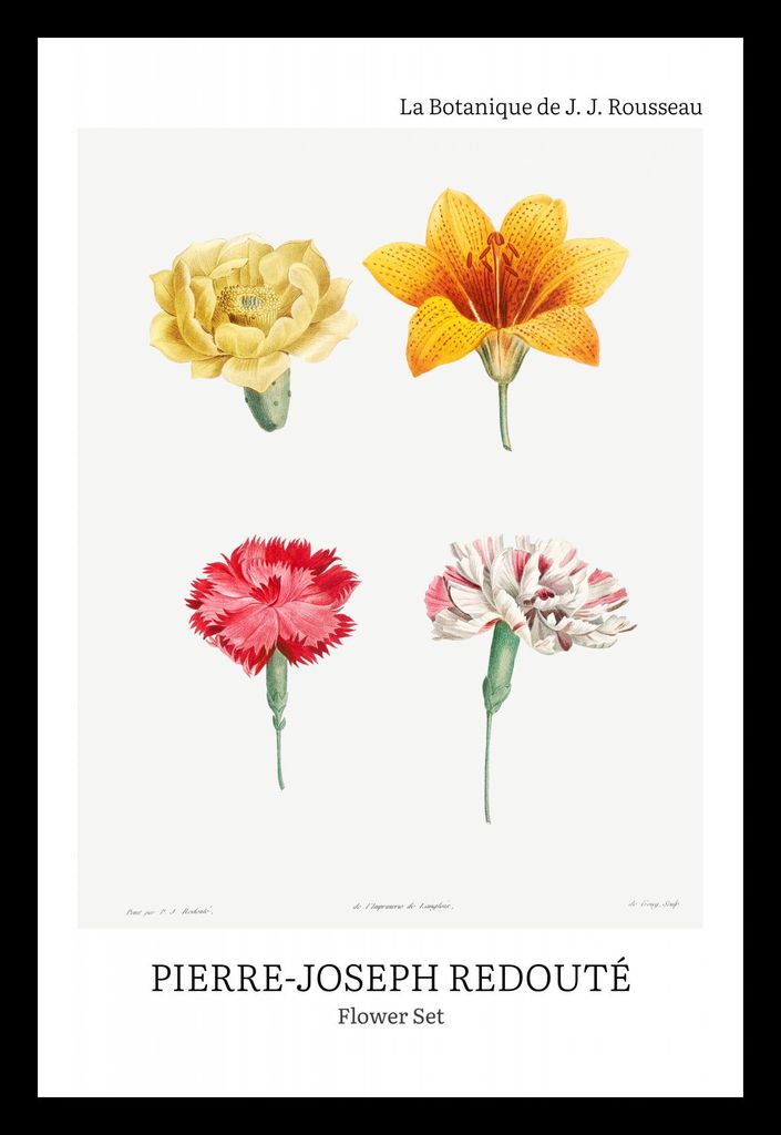 Plakat 20x30cm Design Flower Set, Redoute Vintage für das Wohnzimmer