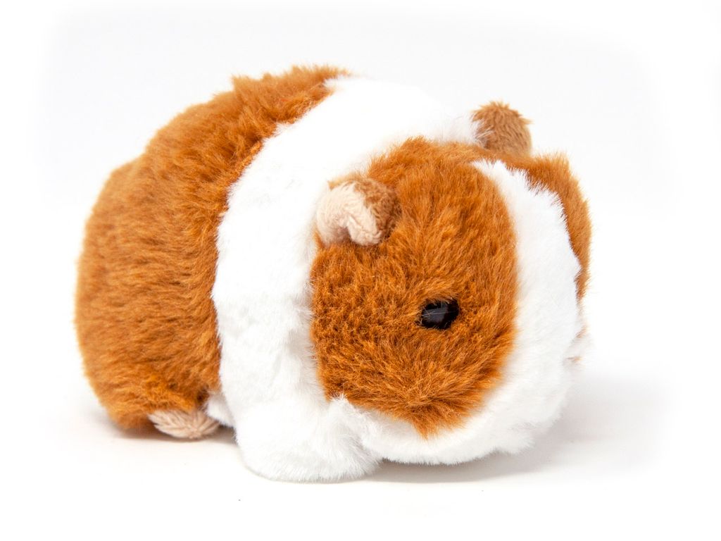 Cornelissen - Doudou - Cochon d'Inde - 13 cm Image du produit 