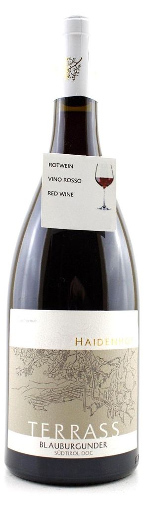 Blauburgunder Terrass - 2023 - 14,5% vol. - Weingut Haidenhof