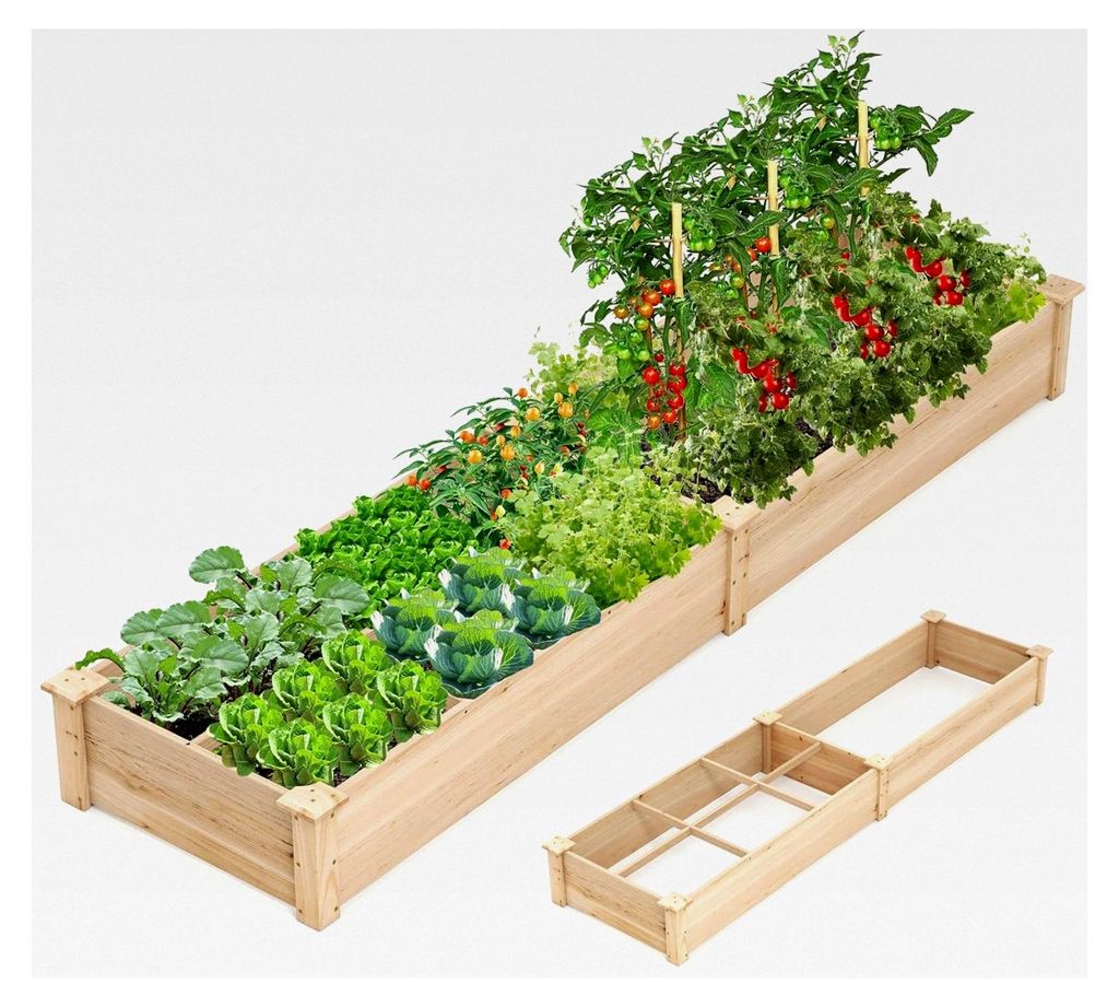 Hochbeet aus Tannenholz mit 2 Pflanzkästen und Trennwänden, Blumenkasten mit offenem Boden, Pflanzbeet für Blumen, Gemüse und Obst (228x62x25 cm)