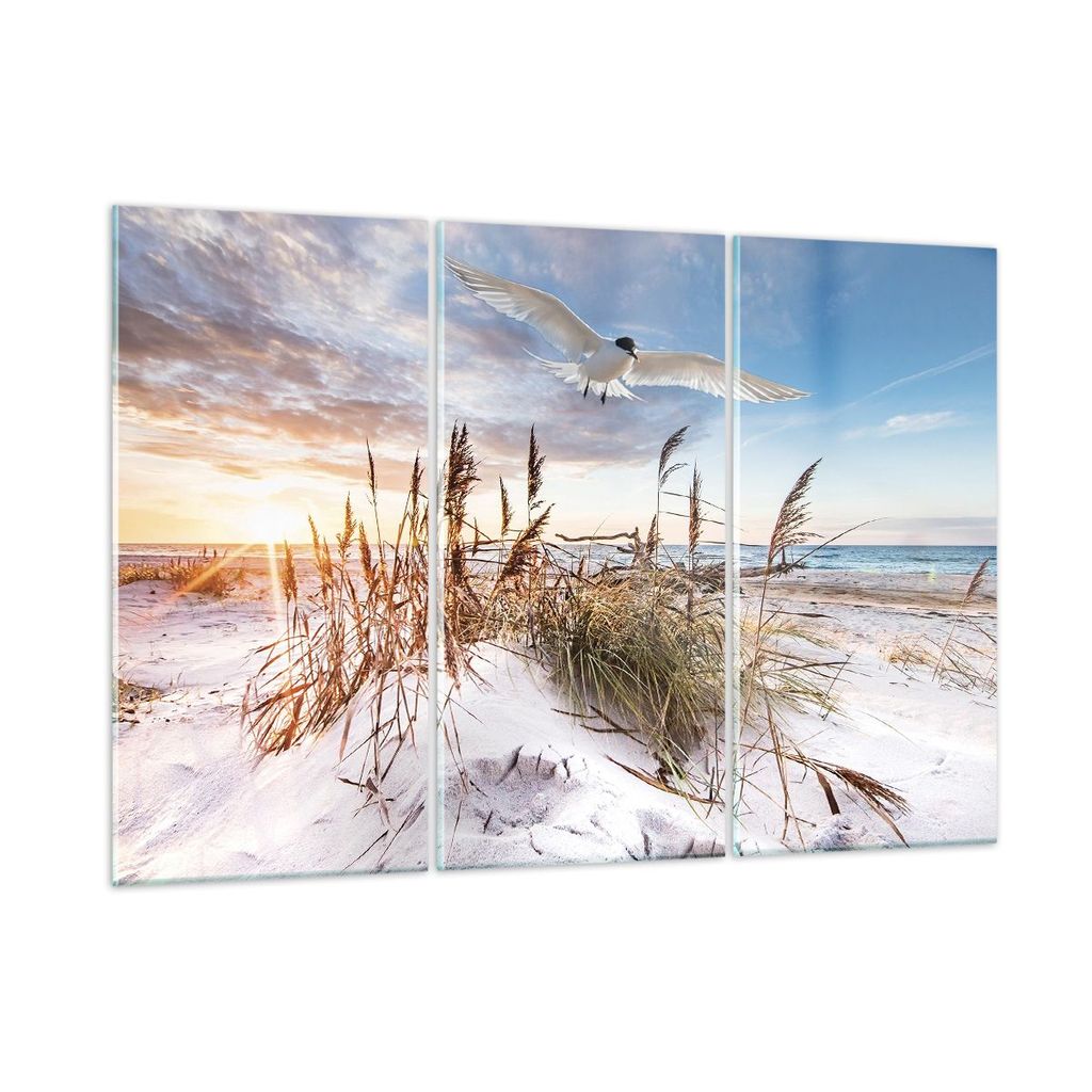 Bilder auf glas - 3 Teile - Möwe Meer Küste - 105x70cm - Glasbilder - Wandbilder - Bilder - zum Aufhängen bereit - Wanddekoration aus Glas - Gla...