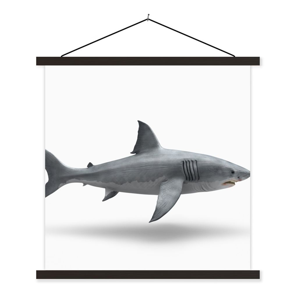 MuchoWow Textilposter Hai - Meerestiere - Weiß 120x120 cm mit schwarzem Rahmen - Aufhängungsset