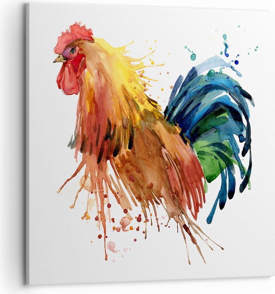 Bild auf Leinwand - Leinwandbild - Hahn Ilustration Tier Farben - 50x50cm - Wand Bild - Wanddeko - Leinwanddruck - Bilder - Kunstdruck - Wanddekora...