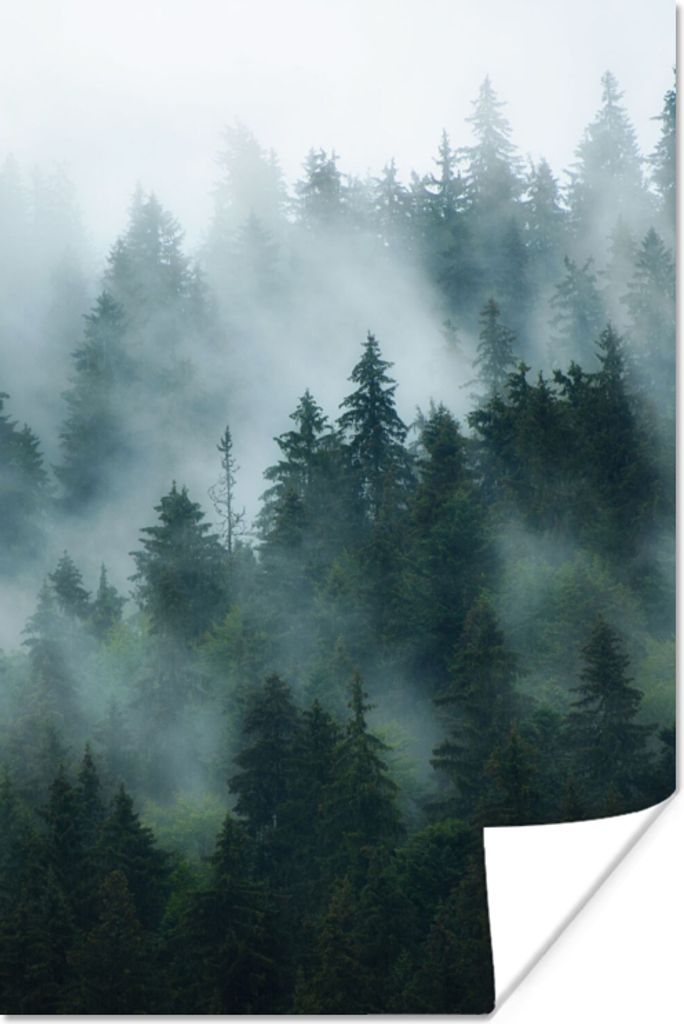 MuchoWow Poster Nebel - Bäume - Wald 120x180 cm - Kunstposter