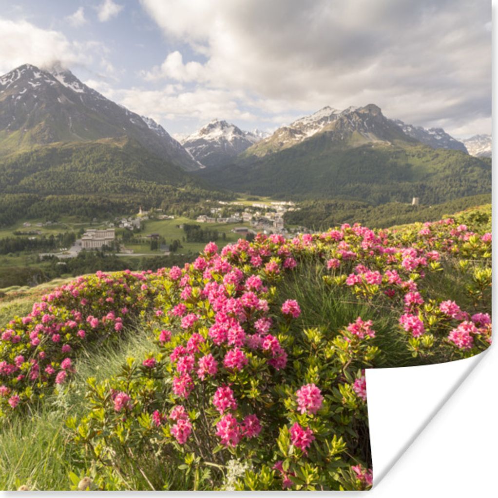 MuchoWow Poster Blumenwiese - Berge - Rosa 100x100 cm - Babyzimmer