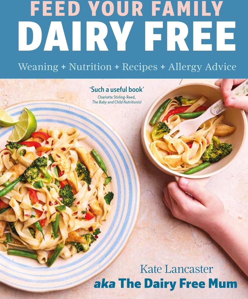 Feed Your Family Dairy Free – Lingua: Inglese