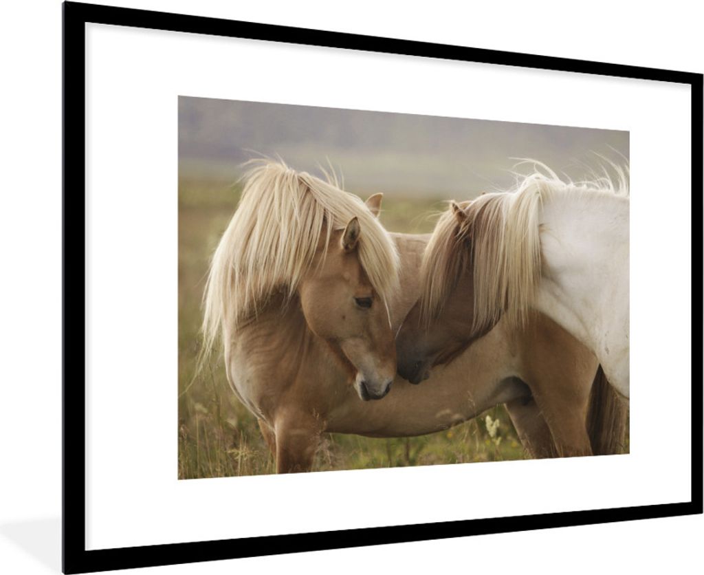 MuchoWow Gerahmtes Poster Pferde - Gras - Braun 90x60 cm - Poster mit Schwarzem Bilderrahmen Wandposter Rahmen Foto Bilder - Wanddekoration - Fotos