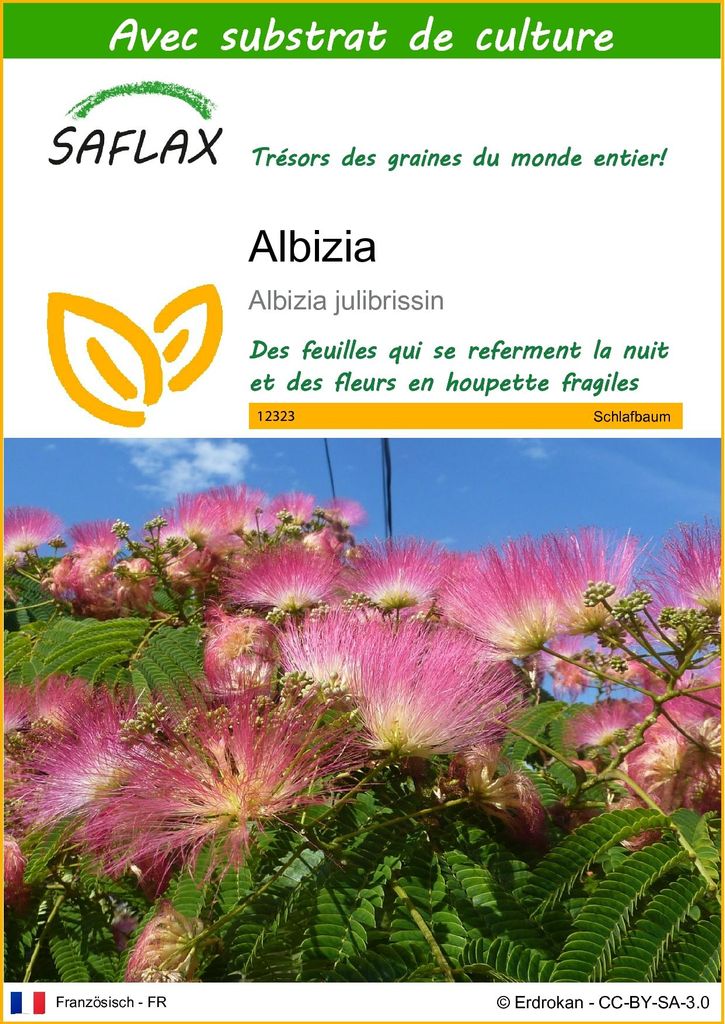 SAFLAX  - Albizia - 50 graines - Avec substrat - Albizia Image du produit 