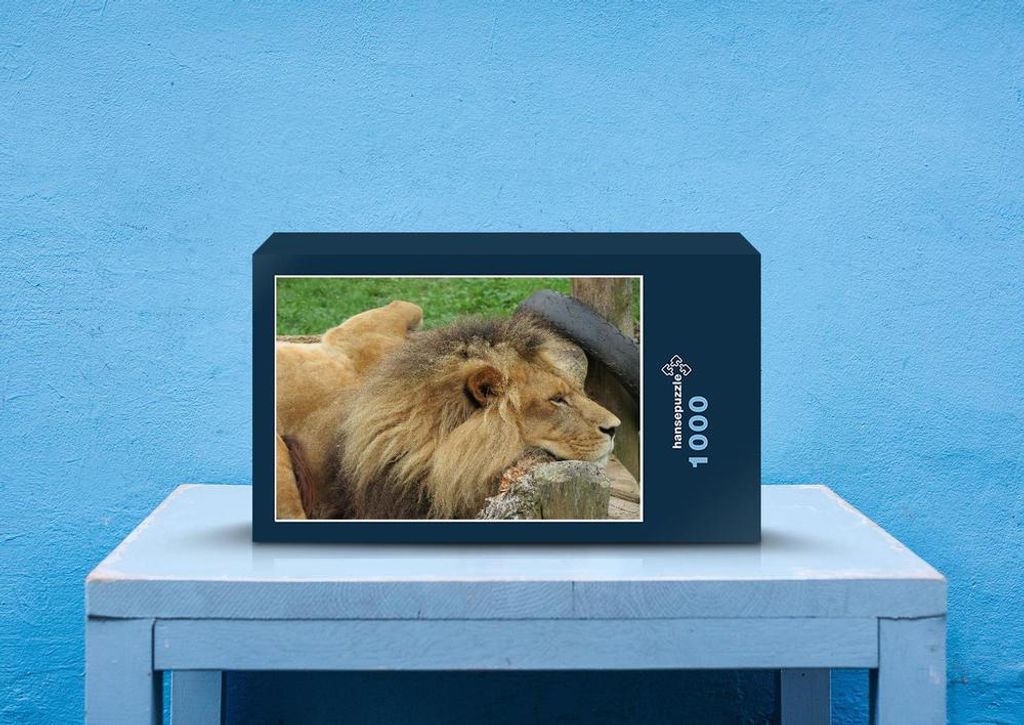 hansepuzzle 70474 - Löwe Puzzle, 1000 Teile, Tierwelt, 60,0 x 46,0cm mit hochwertiger Aufbewahrung, Kartonbox und wiederverschließbarem Beutel
