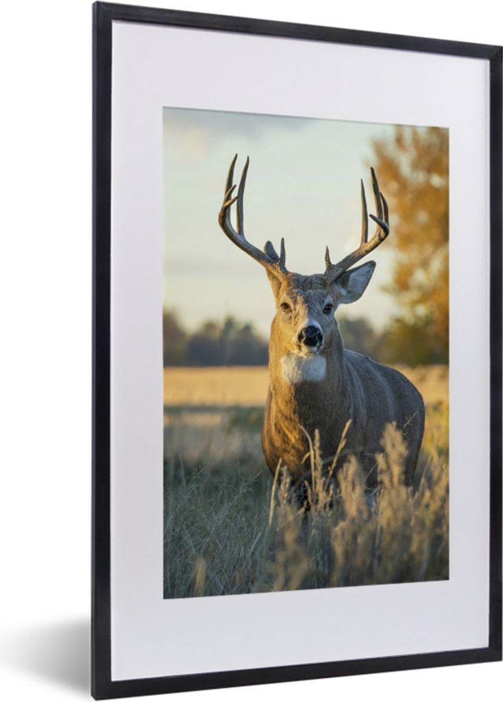 MuchoWow Gerahmtes Poster Hirsche - Gras - Herbst - Geweih - Natur - Tiere 40x60 cm - Poster mit Schwarzem Bilderrahmen Wandposter Rahmen Foto Bi...