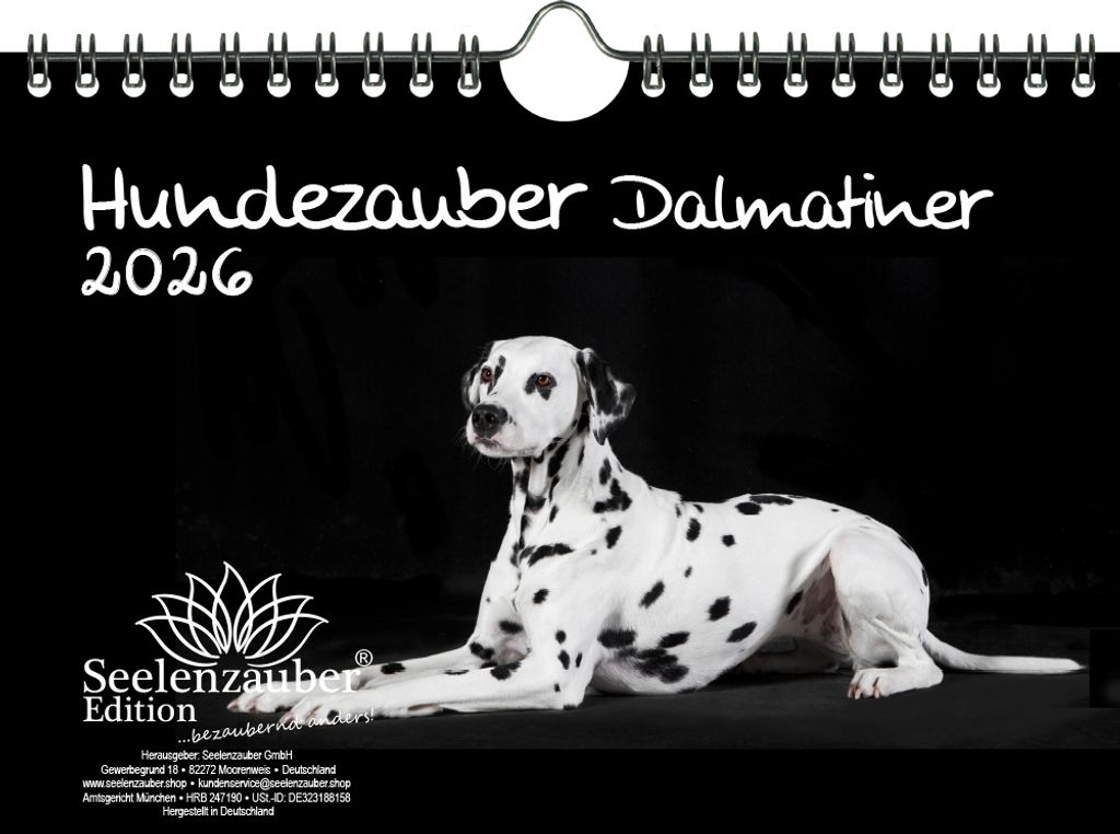 Hundezauber Dalmatiner DIN A5 Kalender für 2026 Welpen und Hunde - Seelenzauber