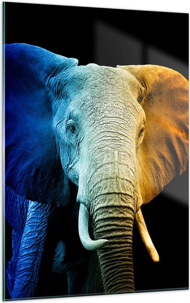 Bilder auf glas - Einteilig - Bunt Elefant Fotografie - 50x70cm - Glasbilder - Wandbilder - Bilder - zum Aufhängen bereit - Wanddekoration aus Gla...