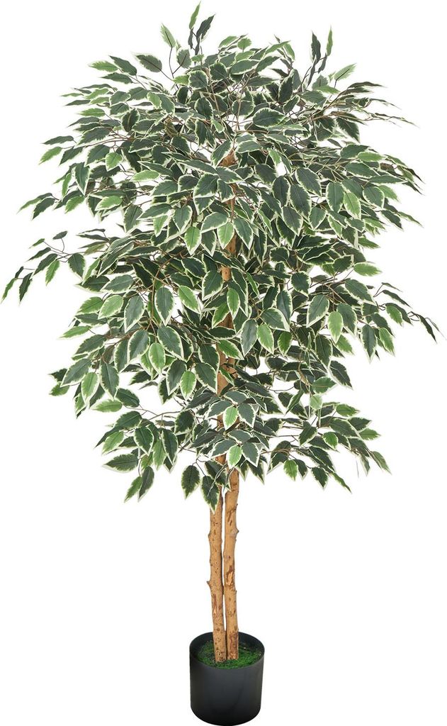 SucceBuy Künstlicher Ficusbaum, 1524 mm, mit schwarzem Produktbild 