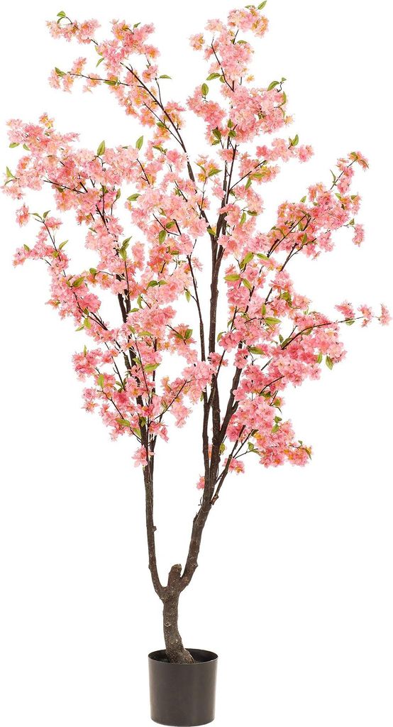 Kunstpflanze Kirschblüte – Prunus – Rosa – Höhe 210cm – Täuschend echt – Dekopflanze für Wohnzimmer, Büro & Events – Pflegeleicht ...
